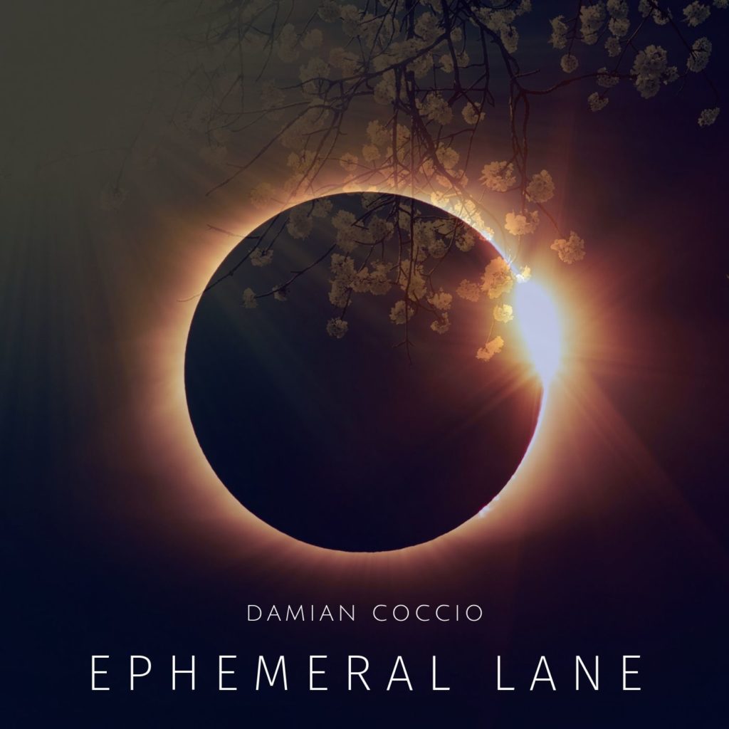 Ephemeral Lane — Damian Coccio
