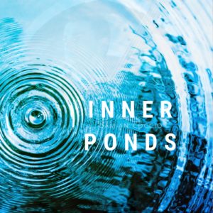 Inner Ponds — Damian Coccio